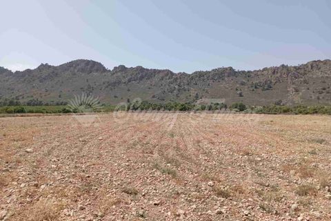 Helårsgrund i Yecla, Murcia, Yecla - € 39.000 | Ref: SF0472 - foto 12